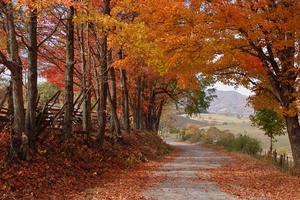 Best in Show photo, "Burkes Fall Lane," was taken by George Metcalf of Abingdon, Va. 