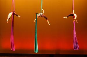 Participants worked with low-flying trapeze (single point) and with colorful aerial silks (fabric). 