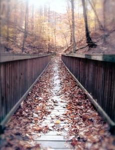 First Place in the Adult Division went to Andrea Patrick Jones for "Bridge Over Peaceful Waters"