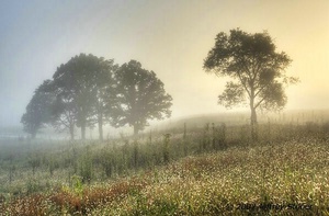 "First Light" (Cades Cove) by Jeffrey Stoner Photography