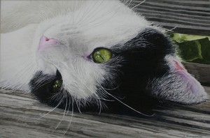 The award-winning watercolor "Feline Perspective" by Claudia Rutherford. (Photo credit: Bob Cassell)