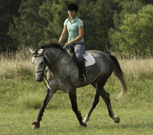 Kate McManis recently completed an Honors Program thesis project on the relationship between horseback riding and musci.