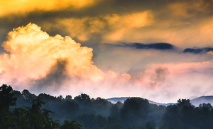 "After the Rain" by Greg Booher