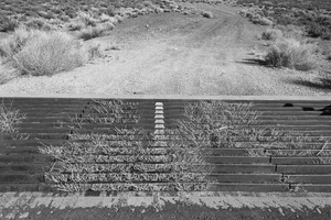 Cattle Guard, Dirt Road; AZ by Joe Champagne