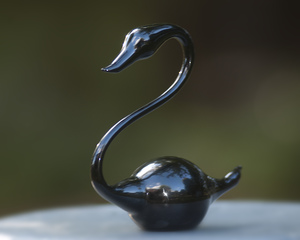 "Black Swan" was created by Ivan Scott, Abingdon, Virginia.