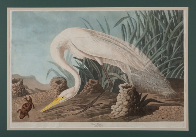 Exhibition Features John James Audubon Compared With