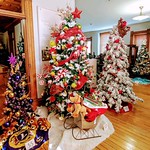 A feat of community creativity and involvement, the Festival of Trees leaves all four floors of the  Victorian home that houses the  decorated trees for the holidays.