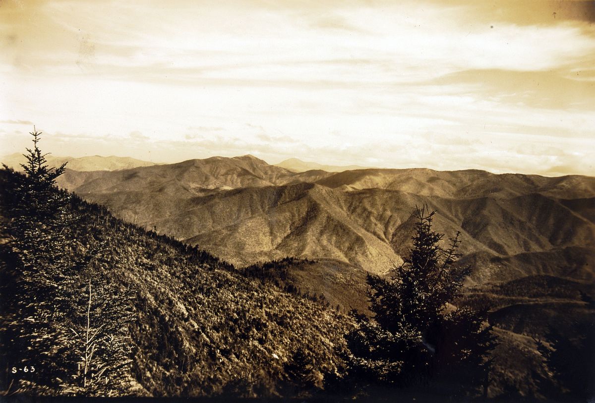 George Masa, Untitled, circa 1920, gelatin silver print on paper, 4 ? × 6 ½ inches. Asheville Art Museum.