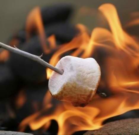 Museum celebrates with campfire sing and marshmallow roast