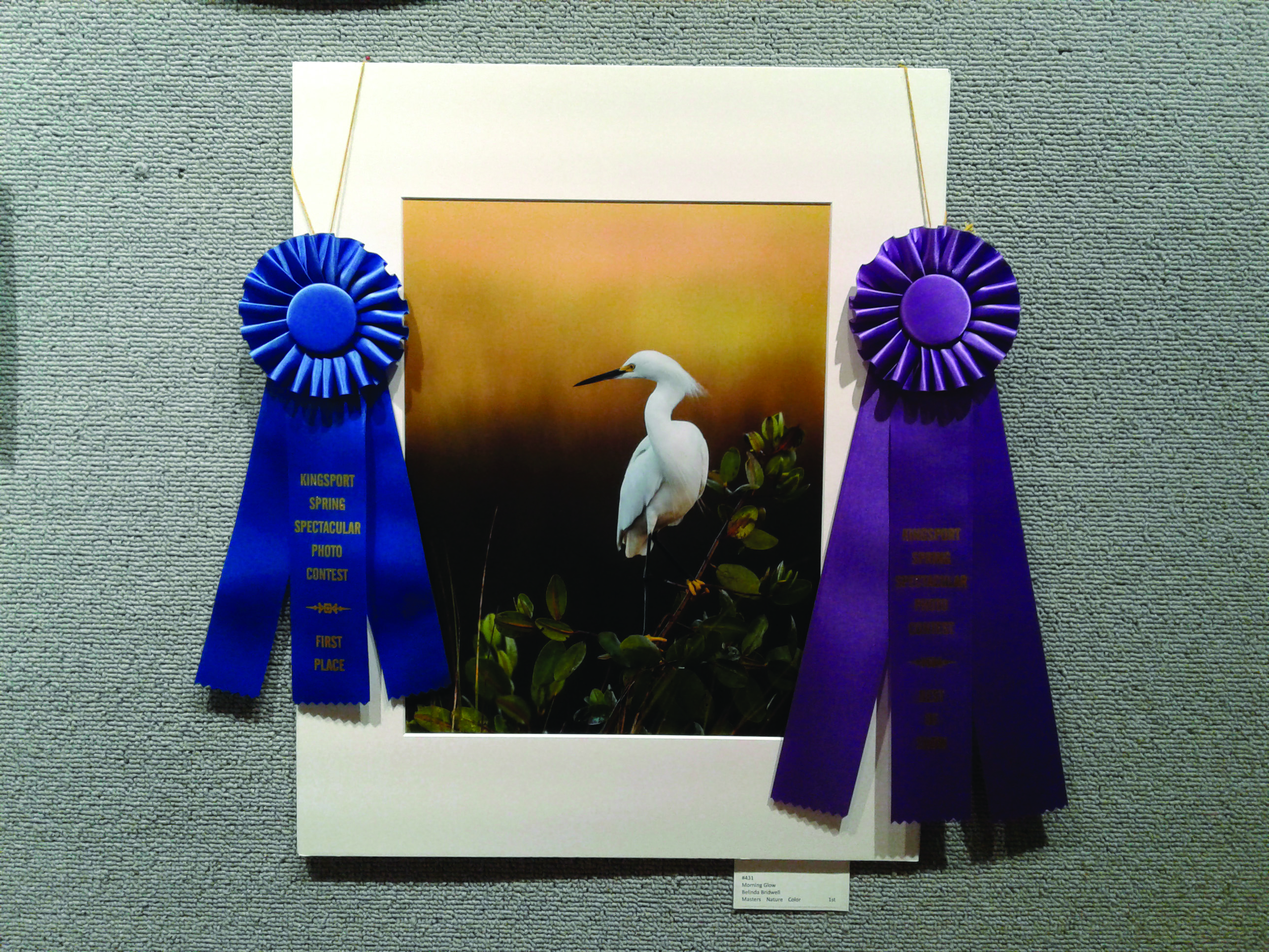 "Morning Glow" by Belinda Bridwell, winner of Best in Show