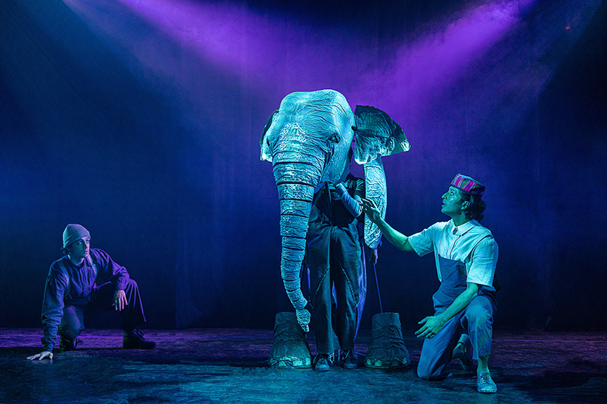 'The Vanishing Elephant'