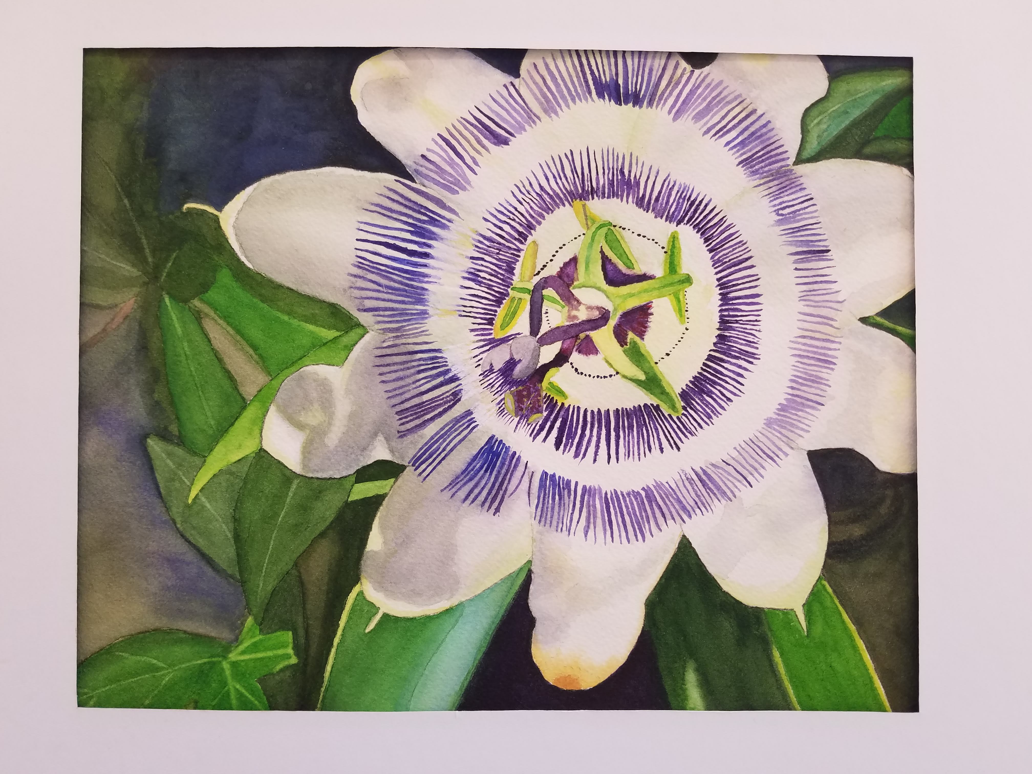 "Passion Flower" by Trish Dover-Bedwell